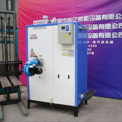 立浦熱能LWS0.2 0.7 Y Q燃氣蒸汽發生器 高效消毒與環保機電設備的卓越選擇