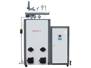 電熱蒸汽發(fā)生器 高效節(jié)能的現(xiàn)代機(jī)電設(shè)備及其核心配件